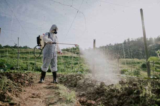 Pest Prevention Services in Dawson, MN