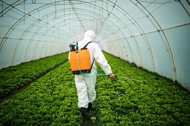 Best Pest Inspection Near Me  in Dawson, MN