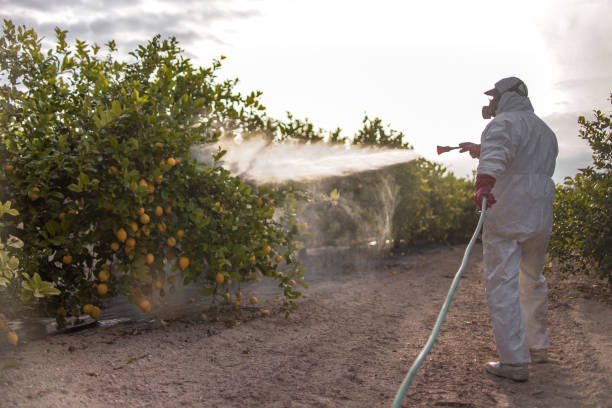 Best Cockroach Control Services  in Dawson, MN