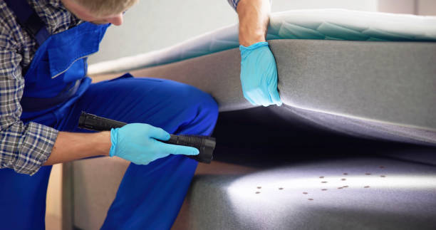 Best Affordable Pest Control Services  in Dawson, MN