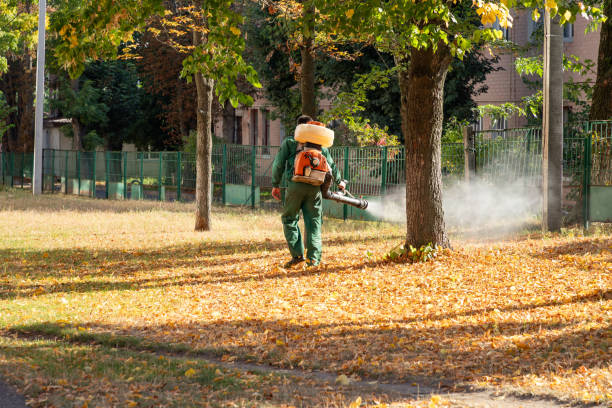 Best Pest Prevention Services  in Dawson, MN